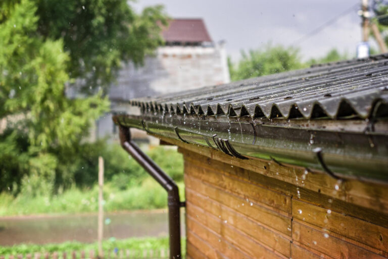 Can clogged gutters attract pests or rodents?