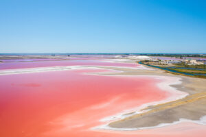 Camargue Salt Flats