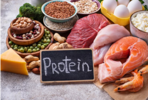 Role of Protein