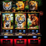 Review of the Pragmatic Play 5 Lions Megaways Slot Game