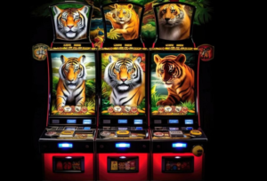 Review of the Pragmatic Play 5 Lions Megaways Slot Game