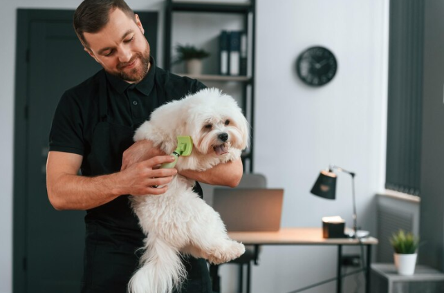 Enhancing Pet Wellness: Exploring Premium Accessories for Happy Pets